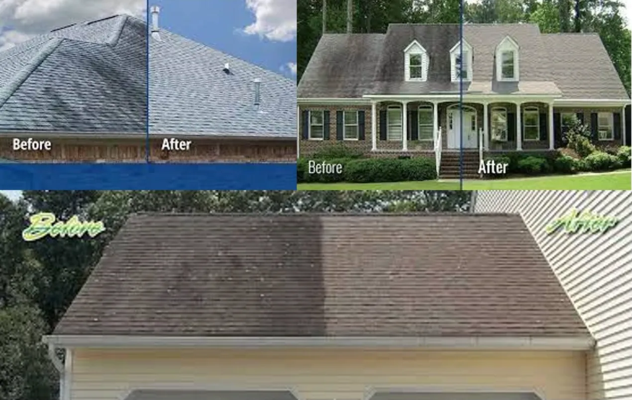 Before and after of a residential roof cleaned by Property Power Wash